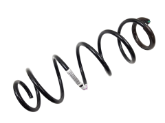 Coil Spring Rear Original Renault Laguna 3 550200002R