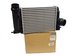 Intercooler Renault 144614EA1B New Original