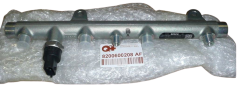 Injection Rail Renault Clio Trafic Kangoo 1.9 dCi 8200600208