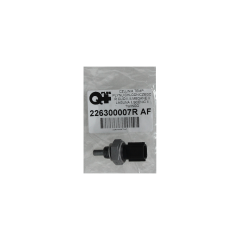 Temperature Sensor Renault Megane Scenic II 226300007R