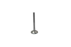 Exhaust Valve For VW Seat Skoda 028109611K B19000 Borsehung