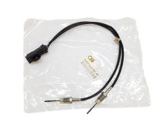 Exhaust Gas Temperature Sensor Citroen Peugeot 9807562780 QPlus
