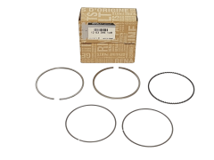 Ring Kit Renault 120339614R Original