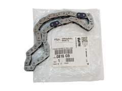 Timing Chain Citroen Peugeot 2.7 HDi 0816G9 New Original