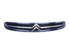 Radiator Grille 7804J7 9632099177 Citroen Xsara Picasso 99-03 1013