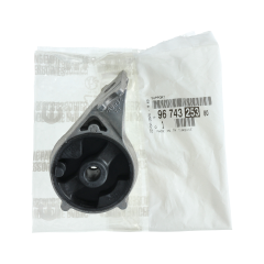 Mounting New Original 9674325380 Citroen Peugeot