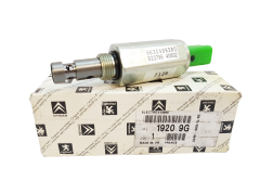 Solenoid Original Citroen Peugeot C5 C8 2.2 19209G