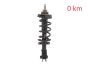 Shock Absorber Front 543023828R 540100864R 93463333 Renault Trafic 3 2.0 DCI