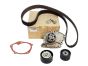 Timing Belt Kit Renault 1.9 dCi 119A04462R New Original