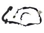Door Wiring Loom Left Rear Clio 3 8200715808 Renault