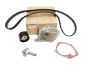 Timing Belt Kit Renault 119A02421R Original